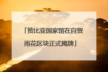 赞比亚国家馆在自贸雨花区块正式揭牌